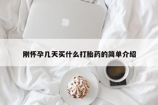 咨询购买正品米非司酮片刚怀孕几天买什么打胎药的简单介绍