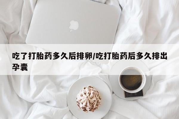 咨询购买正品米非司酮片吃了打胎药多久后排卵/吃打胎药后多久排出孕囊